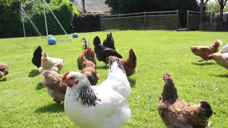 Gîtes de France® - L'Ecurie d'Hubert