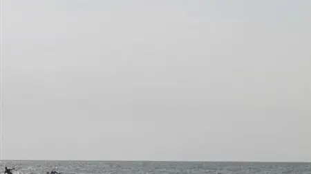 Gîtes de France® - Rose