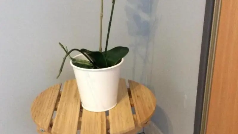 Gîtes de France® - La Charetterie