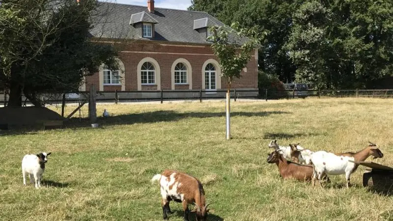Gîtes de France® - Mer