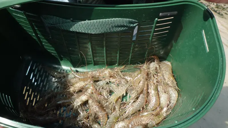 Gîtes de France® - La P'tite Mouette