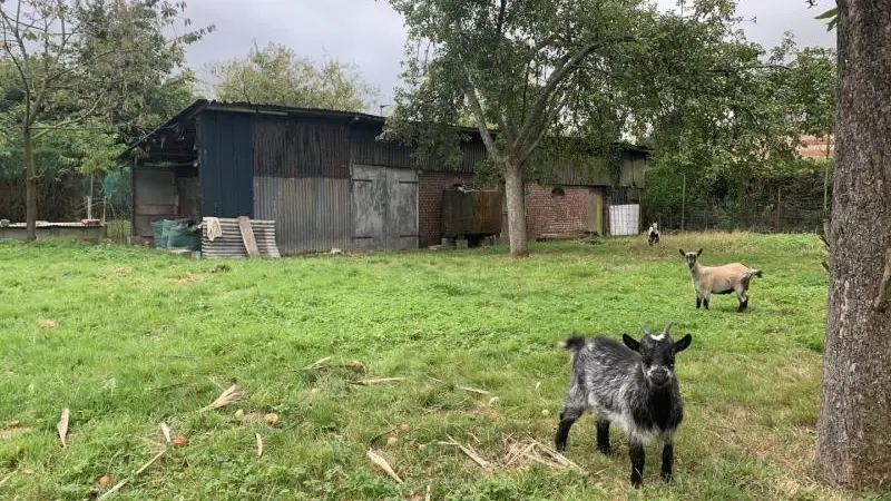 Le Gîte des Coquins