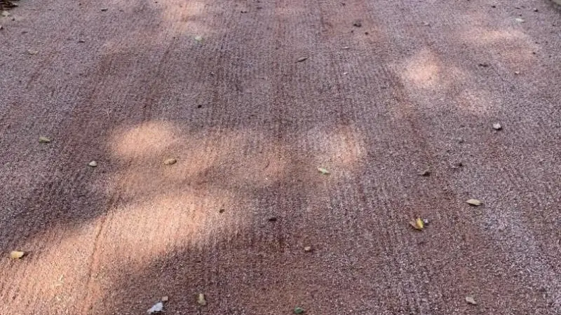 Gîtes de France® - Louise