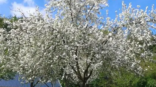 Gîtes de France® - La Bergerie du Mauconduit