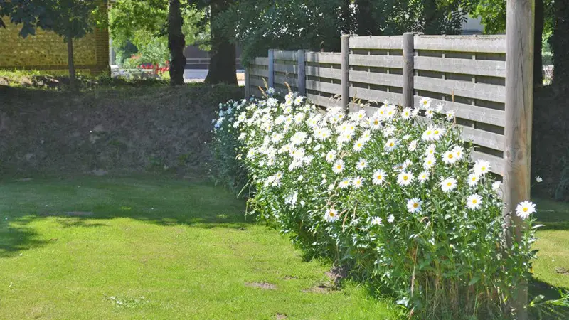 Gîtes de France® - Jade