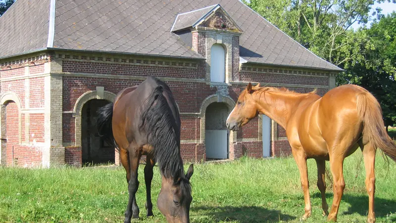 Gîtes de France® - Le Petit Bijou
