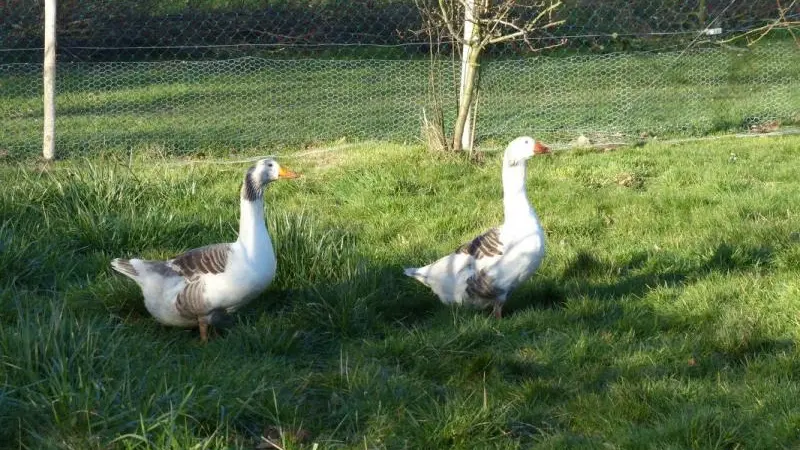 Le Jardin Clos