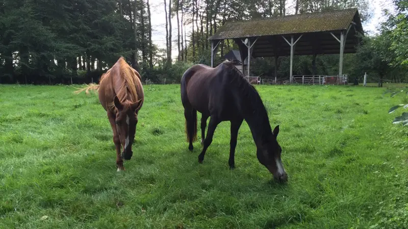 Gîtes de France® - Le Criquemanville