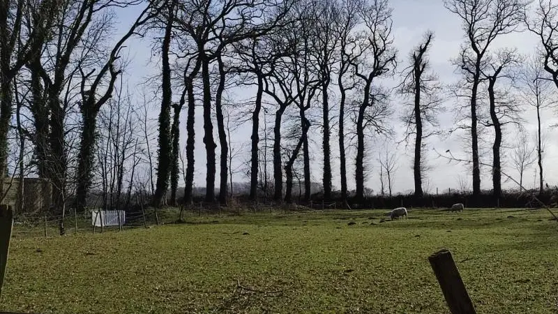 Gîtes de France® - Le Criquemanville