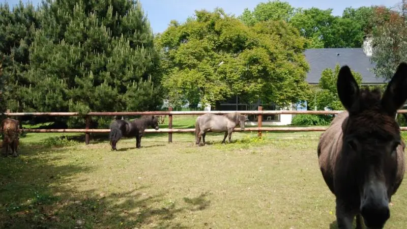 Gîtes de France® - La Clairière