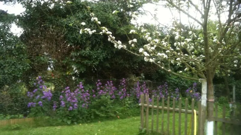 Gîtes de France® - La Lampotte 1