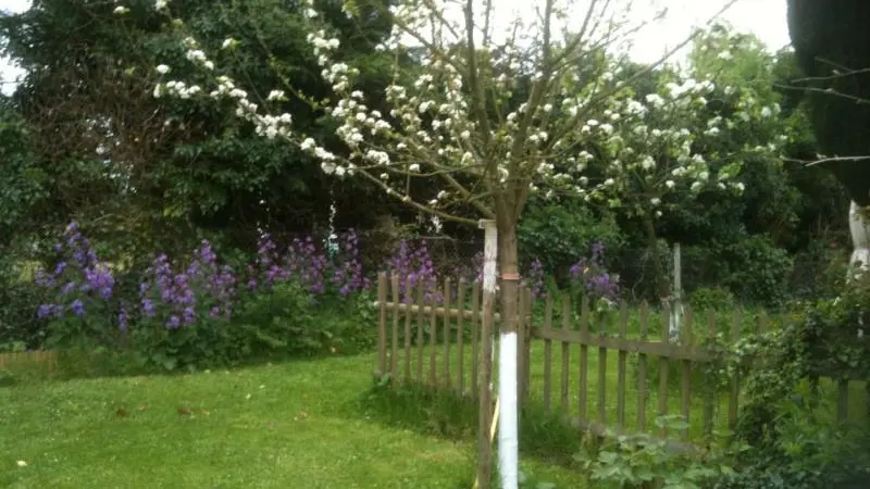 Gîtes de France® - La Lampotte 2