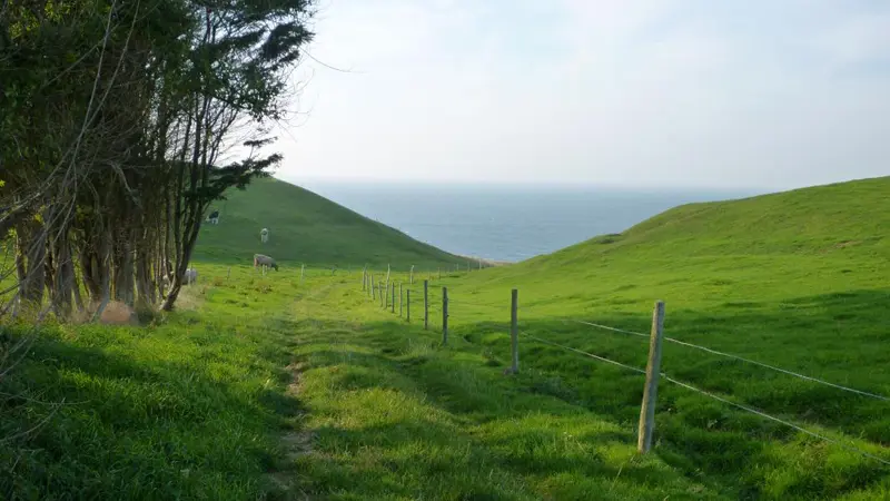 Gîtes de France® - La Lampotte 2