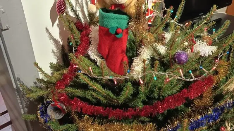 Gîtes de France® - Les Aulnes