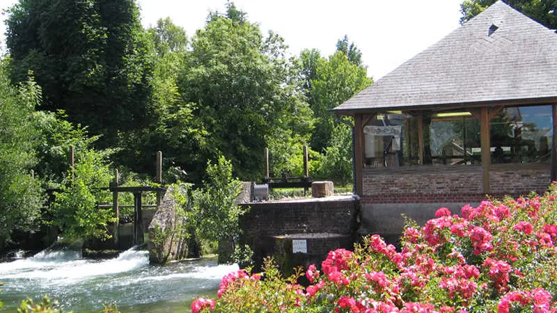L'Eden