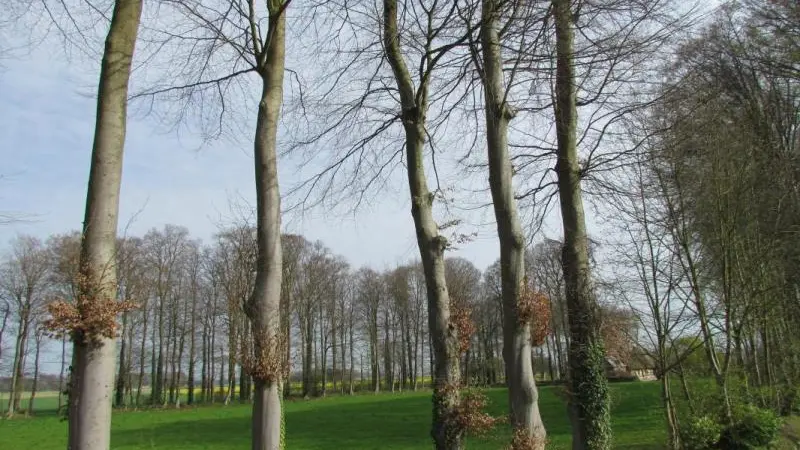 Les Hauts Talus