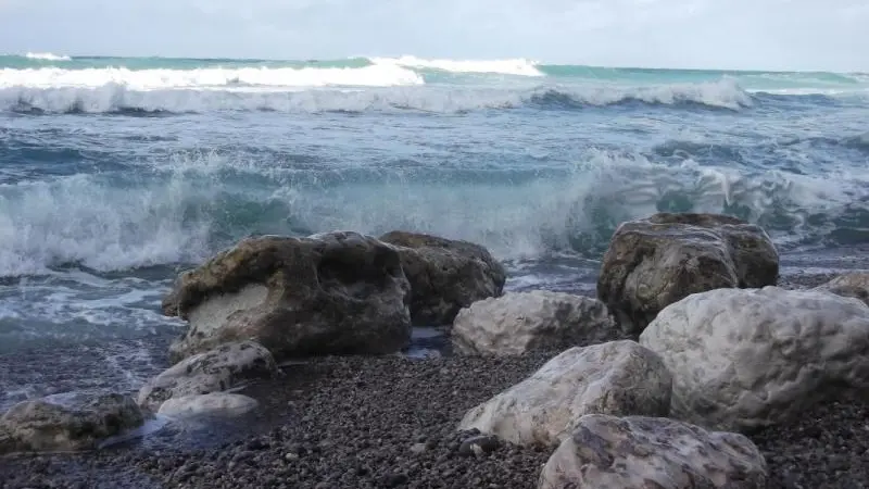 L'Ecume de Mer