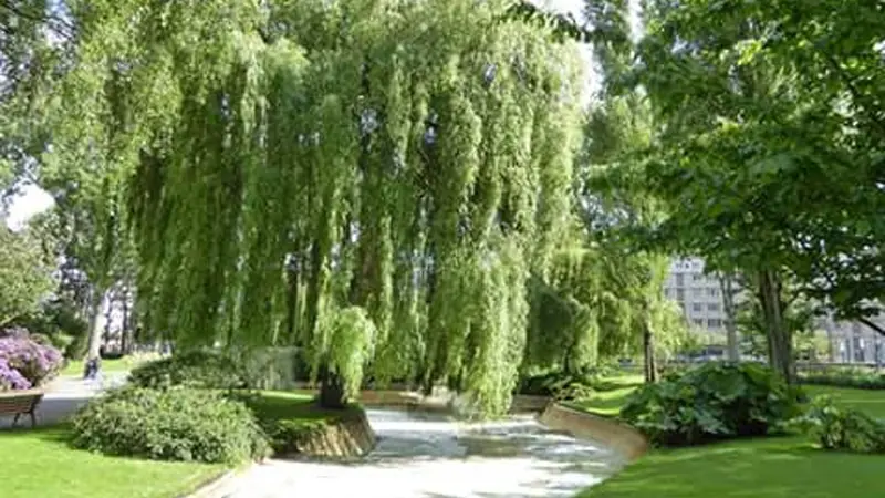 Gîtes de France® - City-Break Ste Anne