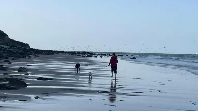 Gîtes de France® - Le Clos Saint Bernard