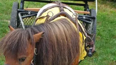 Le Clos Saint Bernard