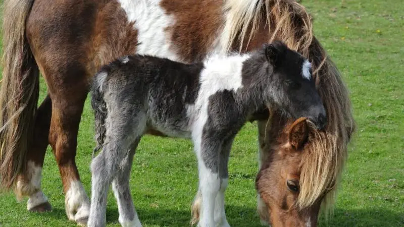 Gîtes de France® - Le Clos Saint Bernard