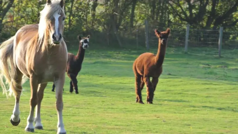 Gîtes de France® - Le Clos Saint Bernard