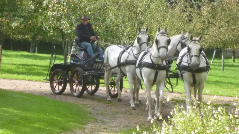 Gîtes de France® - Le Clos Mer et Lin