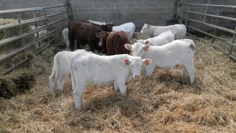 Gîtes de France® - Gîte Normandie Côte d'Albâtre