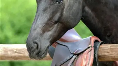 Gîte Normandie Côte d'Albâtre