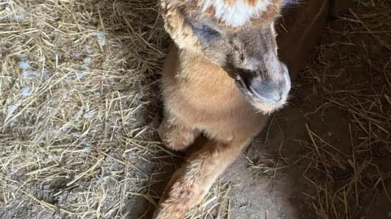 Gîtes de France® - Gîte Normandie Côte d'Albâtre