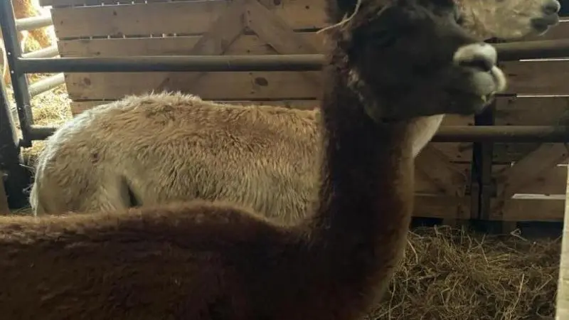 Gîtes de France® - Gîte Normandie Côte d'Albâtre