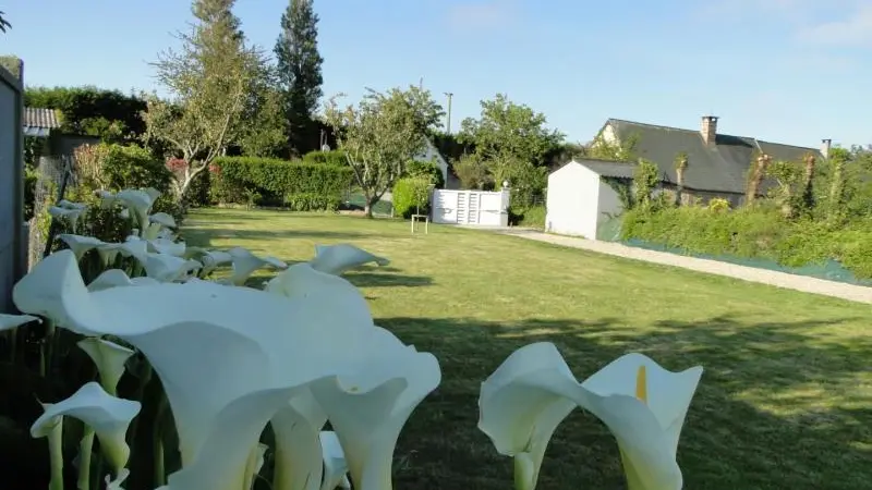 Arums et Silex