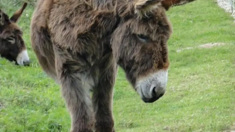 Gîtes de France® - Arums et Silex