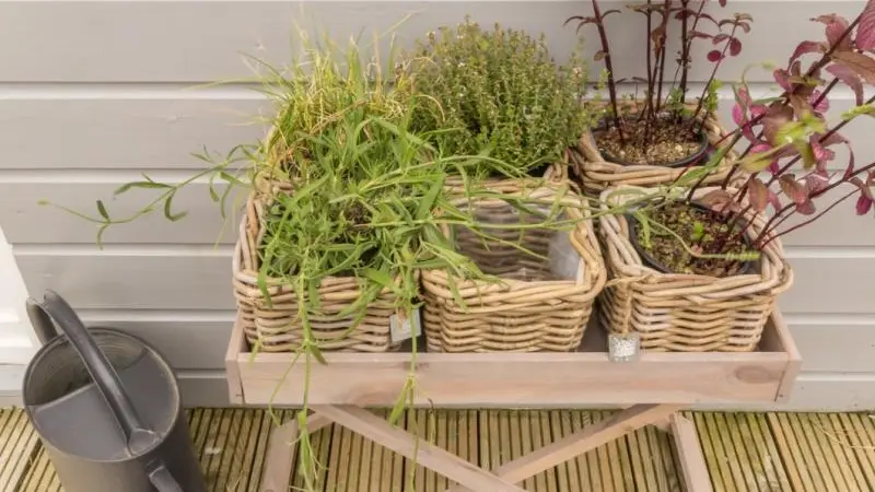 Gîtes de France® - L'Aneraie