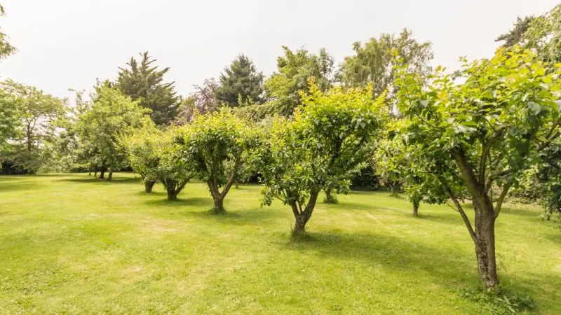 Gîtes de France® - Gîte la Pépinière