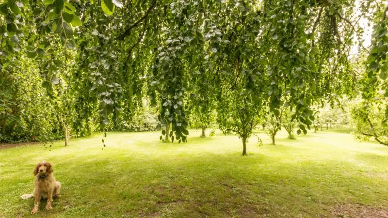 Gîtes de France® - Gîte la Pépinière