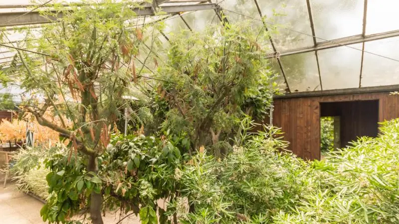 Gîtes de France® - Gîte la Pépinière