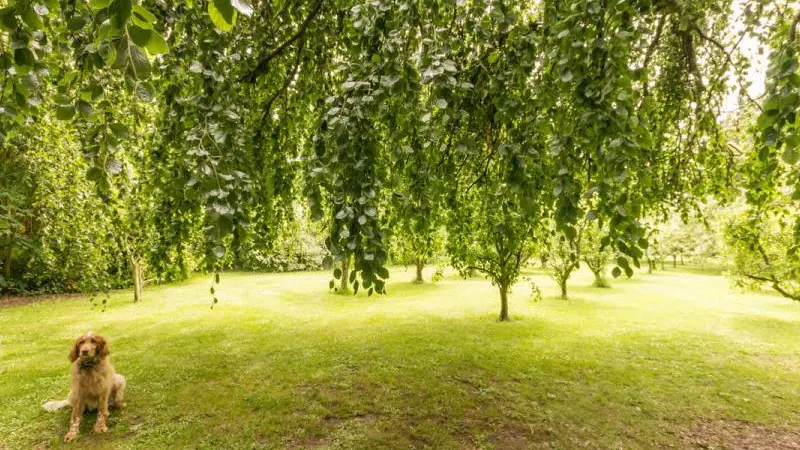 Gîtes de France® - Gîte la Pépinière
