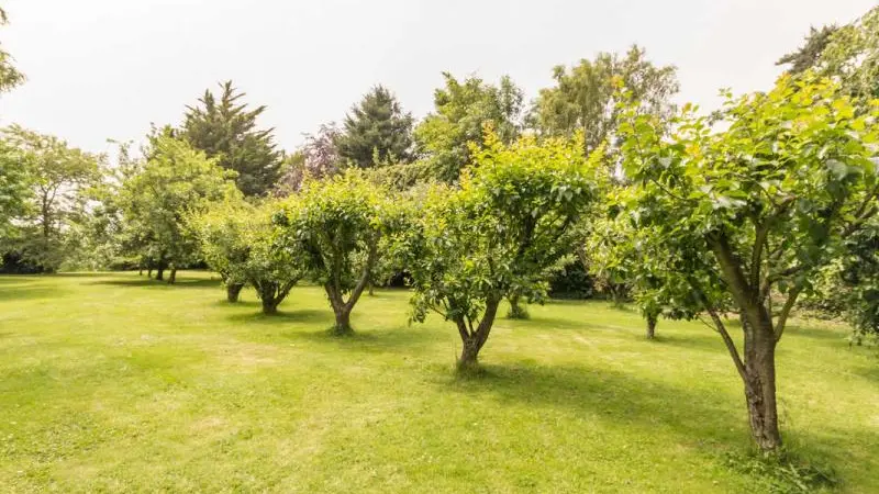 Gîtes de France® - Gîte la Pépinière