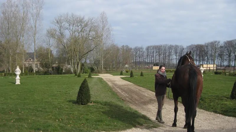 Manoir de Briquedalles