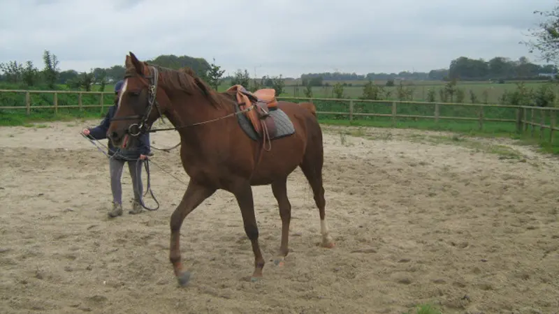 Gîtes de France® - La Grange d'Armand
