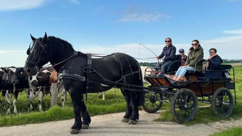 Gîtes de France® - La Grange d'Armand