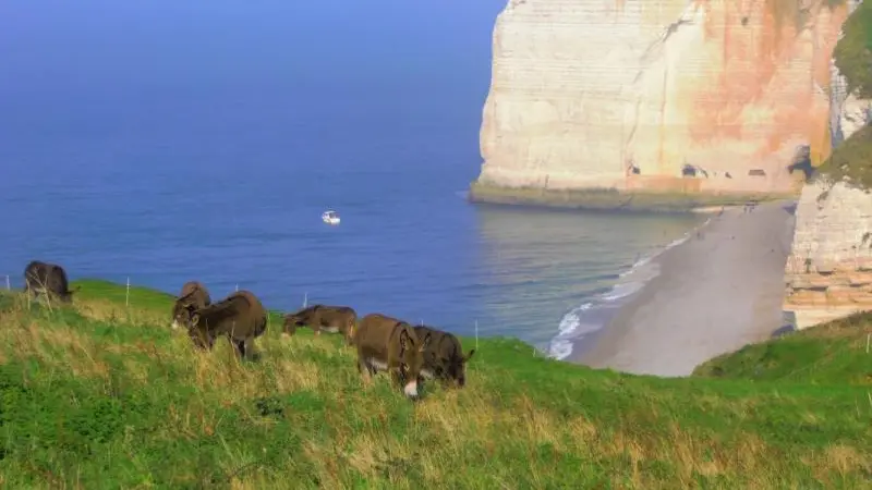 Gîtes de France® - Tilia