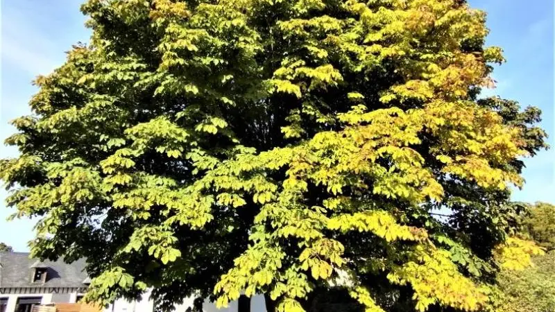 Les Gîtes de Criquetot n°1