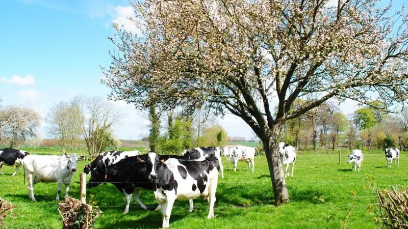 Gîtes de France® - La P'tite Georgette