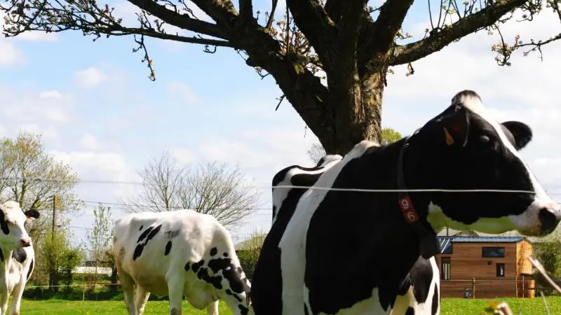 Gîtes de France® - La P'tite Georgette