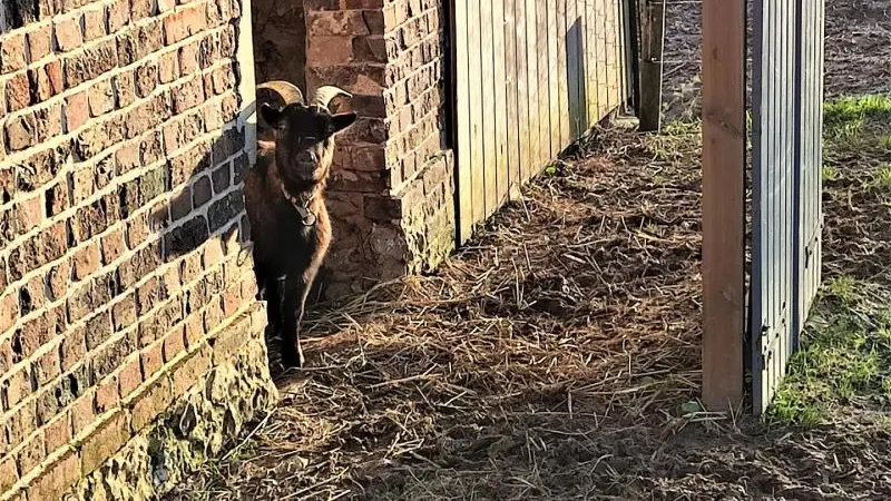 Gîtes de France® - L' Hirondo