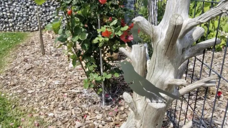 L' Hirondelle-l'Hirondo