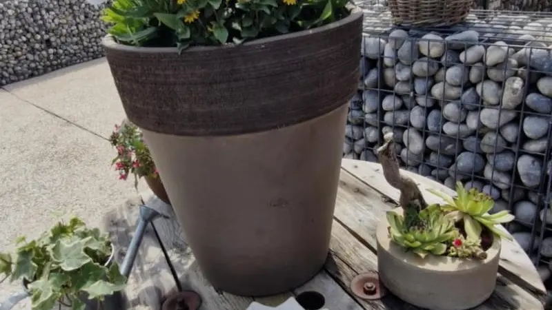 L' Hirondelle-l'Hirondo