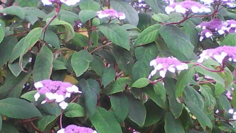 Gîtes de France® - Tout va Bien